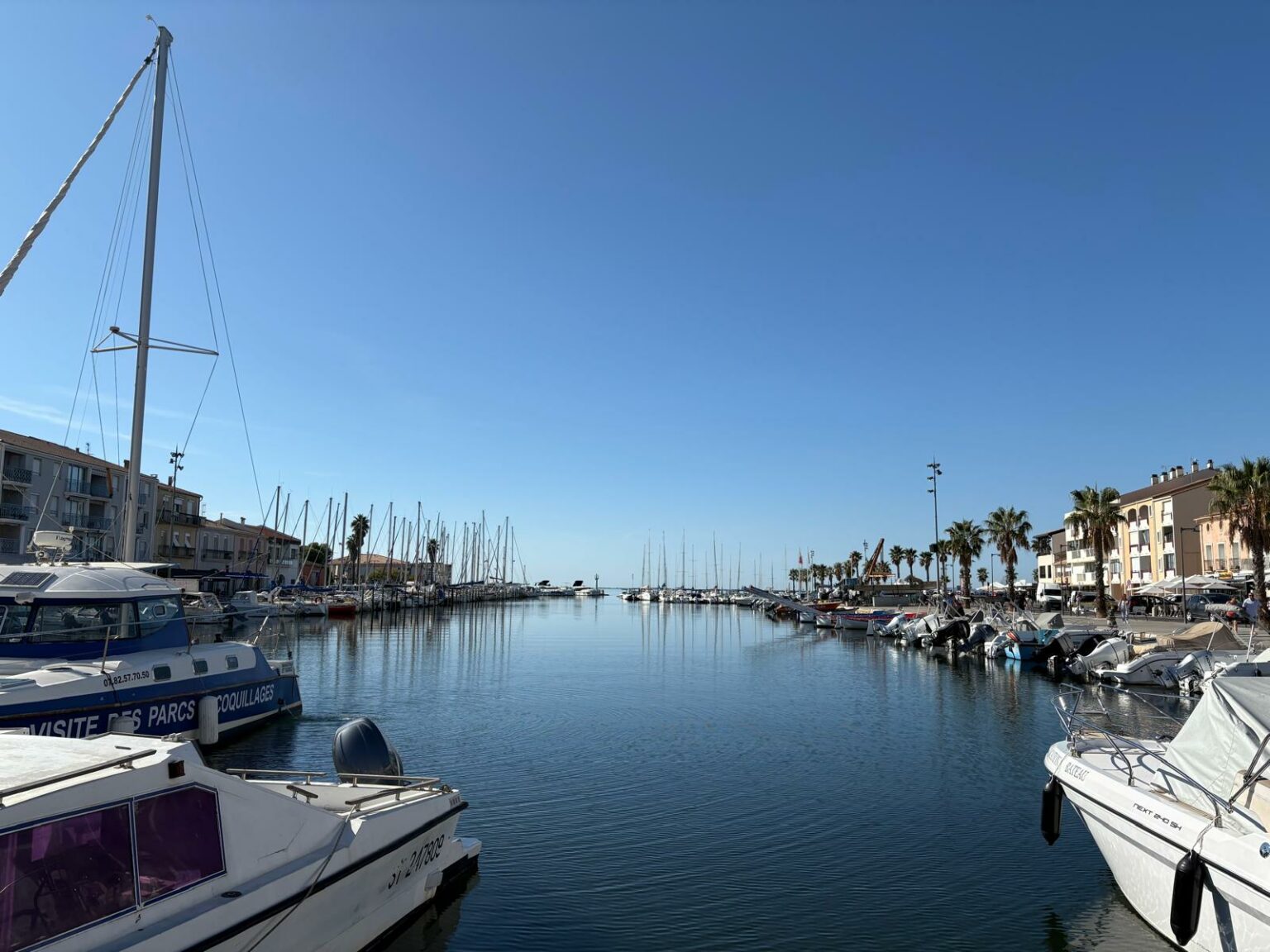 WhatsApp Image 2025-10-07 at 10.59.44 (3)